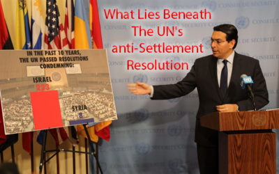 The Real Reason Why The UN Is Anti Israel